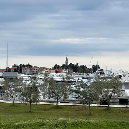 Holiday home Mona-haus Mit Privatpool In Novigrad Mit Meerblick, Privatem Parkplatz Und Wallbox
