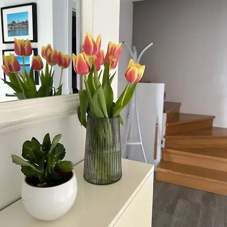 Mona-haus Mit Privatpool In Novigrad Mit Meerblick, Privatem Parkplatz Und Wallbox Hébergement de vacances Novigrad Istria