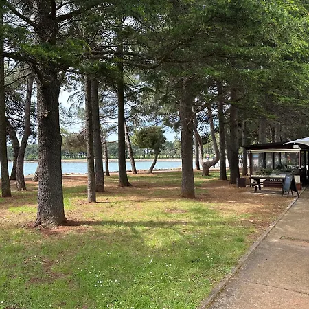 Mona-haus Mit Privatpool In Novigrad Mit Meerblick, Privatem Parkplatz Und Wallbox Novigrad Istria