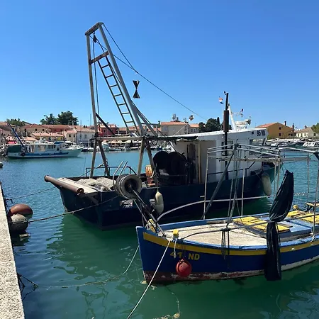 Mona-haus Mit Privatpool In Novigrad Mit Meerblick, Privatem Parkplatz Und Wallbox Casa vacanze Novigrad Istria