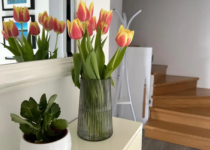 Mona-haus Mit Privatpool In Novigrad Mit Meerblick, Privatem Parkplatz Und Wallbox Casa vacanze Novigrad Istria