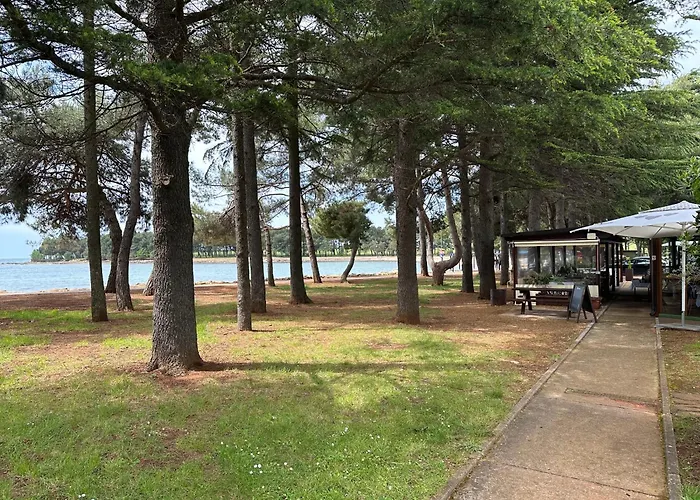 Mona-haus Mit Privatpool In Novigrad Mit Meerblick, Privatem Parkplatz Und Wallbox Novigrad Istria