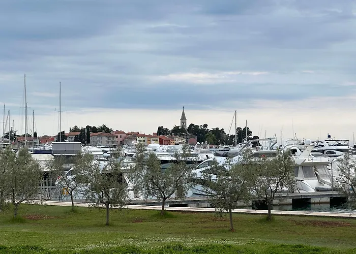 Casa vacanze Mona-haus Mit Privatpool In Novigrad Mit Meerblick, Privatem Parkplatz Und Wallbox