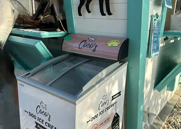 Mona-haus Mit Privatpool In Novigrad Mit Meerblick, Privatem Parkplatz Und Wallbox * Novigrad Istria