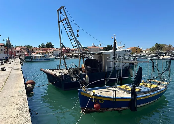 Mona-haus Mit Privatpool In Novigrad Mit Meerblick, Privatem Parkplatz Und Wallbox Casa vacanze Novigrad Istria