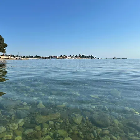 Mona-haus Mit Privatpool In Novigrad Mit Meerblick, Privatem Parkplatz Und Wallbox Ferienhaus